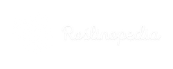 Roslinopedia